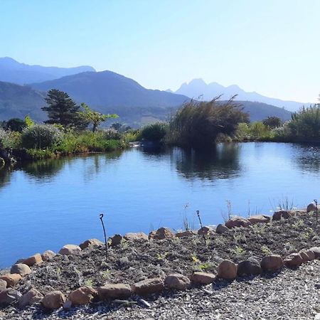 Gecko Cottage At Artemis Franschhoek Ngoại thất bức ảnh