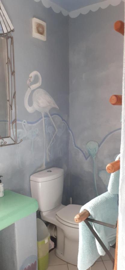 Gecko Cottage At Artemis Franschhoek Ngoại thất bức ảnh