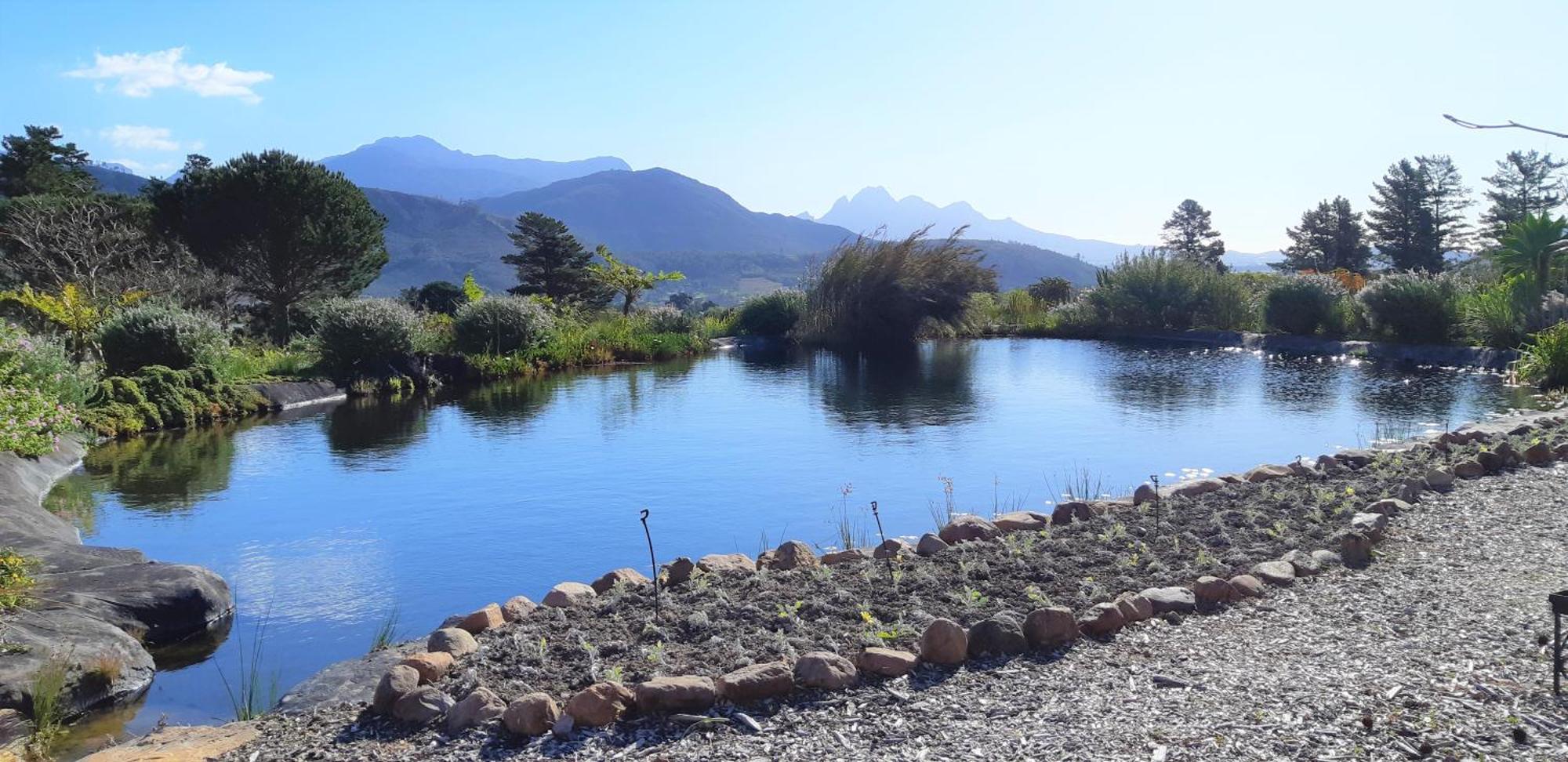 Gecko Cottage At Artemis Franschhoek Ngoại thất bức ảnh